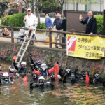 小田原城のお堀でダイバーが水中清掃！